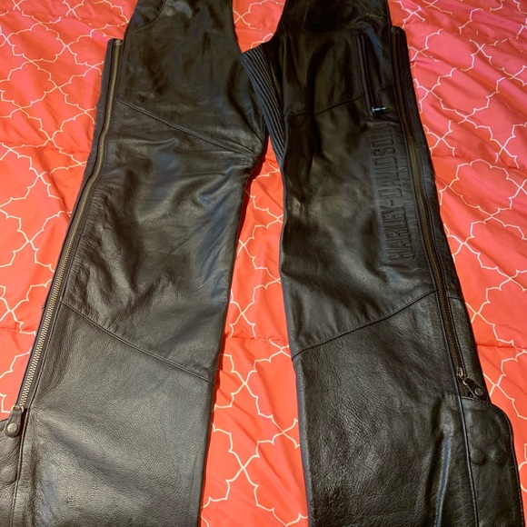 Harley-Davidson Other - Men’s leather chaps